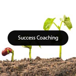 life or business coaching